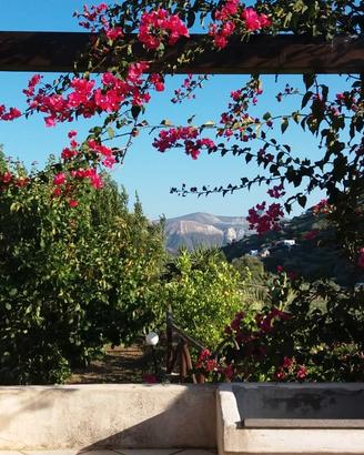Villa Soprana,casa vacanza CIN IT083041C2SOCP2VYW
