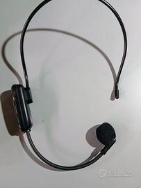 MICROFONO AD ARCHETTO