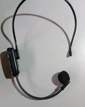 MICROFONO AD ARCHETTO