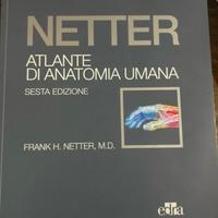Netter: atlante di anatomia umana (NUOVO)