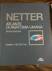 Netter: atlante di anatomia umana (NUOVO)