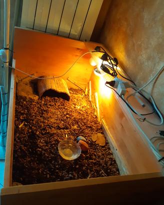 Terrario x Tartarughe da Terra con rotelle 