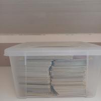 Lotto di carte Pokemon