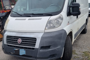 Ducato frigo con atp