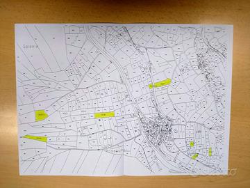 Terreni agricoli e boschivi - Aste di Vallarsa