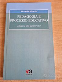 Pedagogia e processo educativo