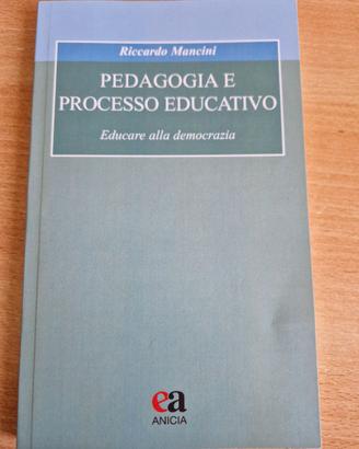 Pedagogia e processo educativo