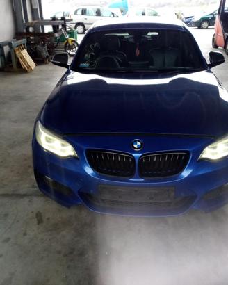 RICAMBI USATI AUTO BMW Serie 2 Coupé (F22) N47D20