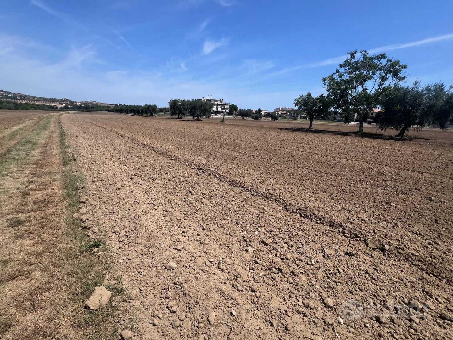 Terreni agricoli - Vista 4