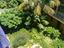 Immagine 24