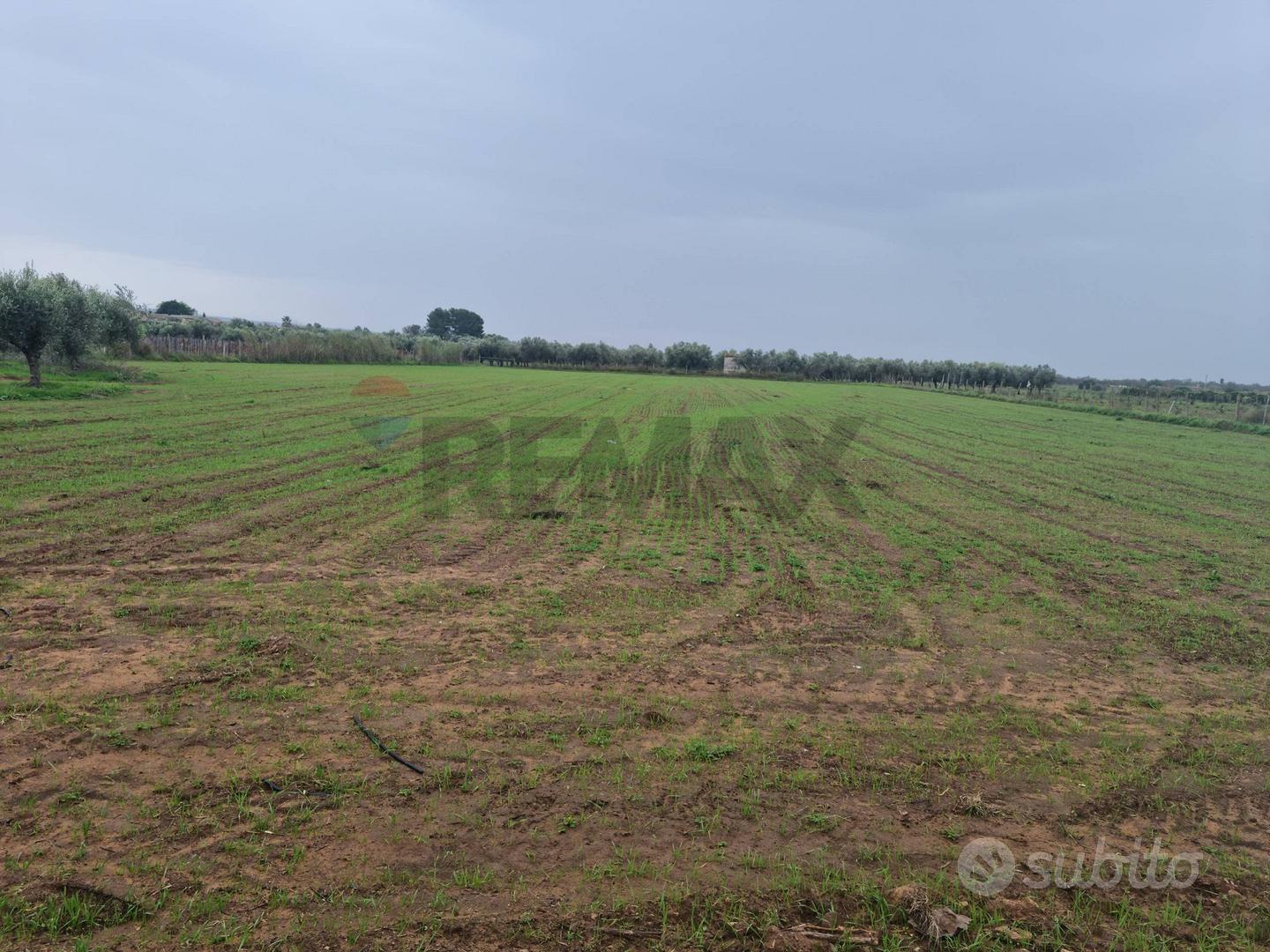 Terreno - Vittoria - Vista 4