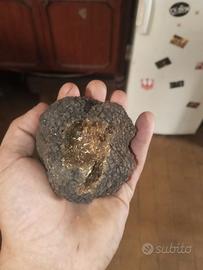 Tartufo scorsone