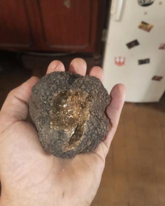 Tartufo scorsone