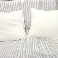 Cuscini bianchi 50x50