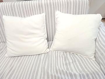 Cuscini bianchi 50x50