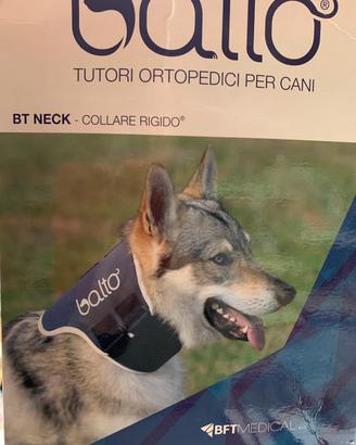 Collare ortopedico