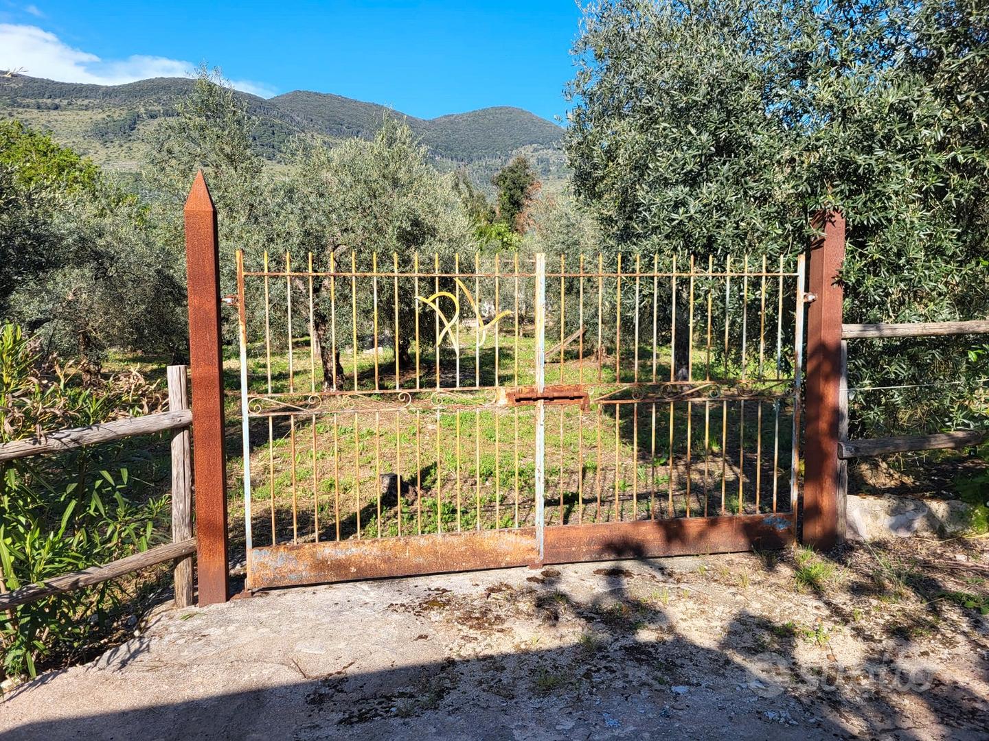 Terreno di 3300 mq con uliveto secolare - Sonnino - Vista 3