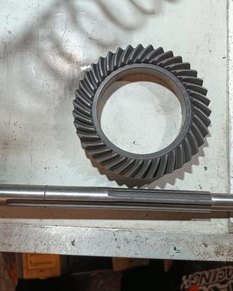 coppia conica Bacci 8x39 per fiat 600 Abarth 1000