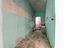 Immagine 11