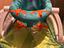 Immagine 1