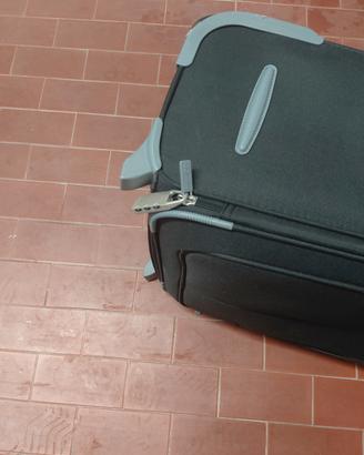 valigia/trolley. carpisa go  