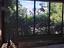 Immagine 19