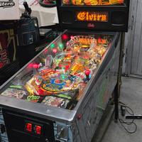 Flipper Scared Stiff 