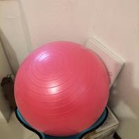 palla fitness 55 cm circa diametro con fodera 