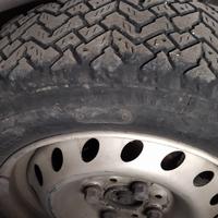 gomme tassellate  panda e y10