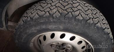 gomme tassellate  panda e y10