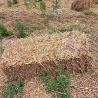 Foraggio in ballette