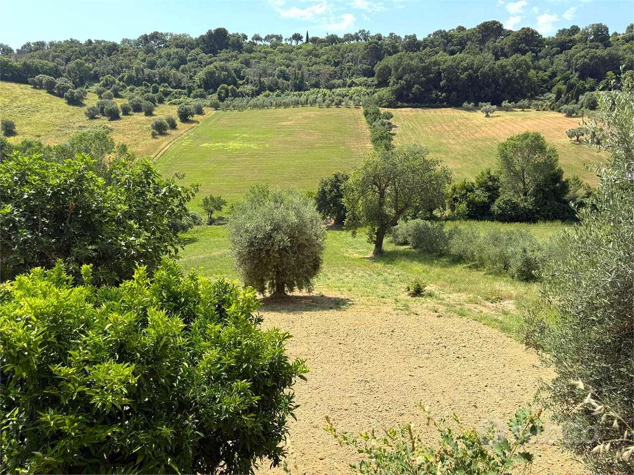 LOTTO DI TERRENO AGRICOLO in ZONA CAMPOFILONE - Vista 3