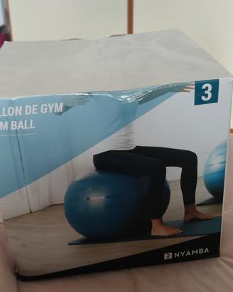 palla da ginnastica