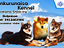 Immagine 6