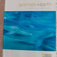 Collezione di immagini Animals + Earth 