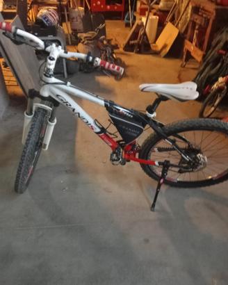 Bici Grandis