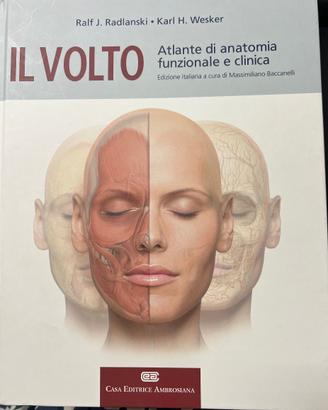 Atlante di Anatomia funzionale e clinica-Il Volto