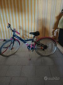 bicicletta
