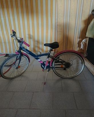 bicicletta