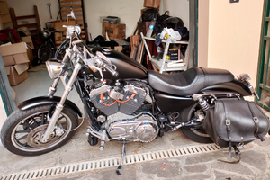 Harley Davidson sportster Roadster 1200 anno 2004