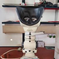 Visore Stereoscopico / Stereomicroscopio Vision En