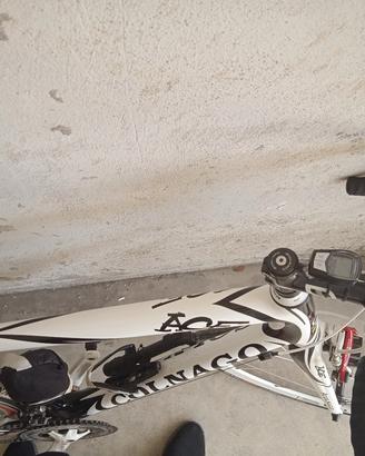 Bici  Colnago 