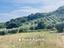 Immagine 24