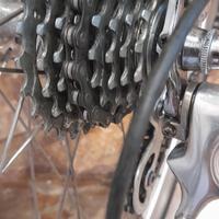 bicicletta da corsa taglia 53 