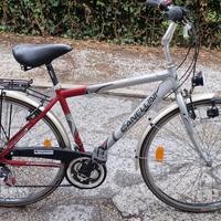 Bicicletta da uomo Canellini