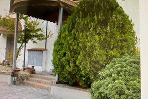 Stanze a Imola collinare in agriturismo