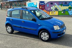 Fiat Panda 1.2 Dynamic (SU APPUNTAMENTO)