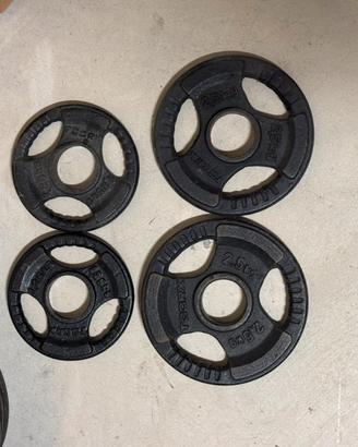 Dischi Toorx 50mm  2 x 1.25 kg e 2 x 2.5kg