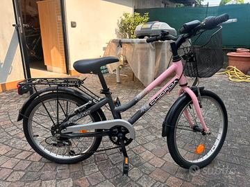 biciletta rosa chiorda