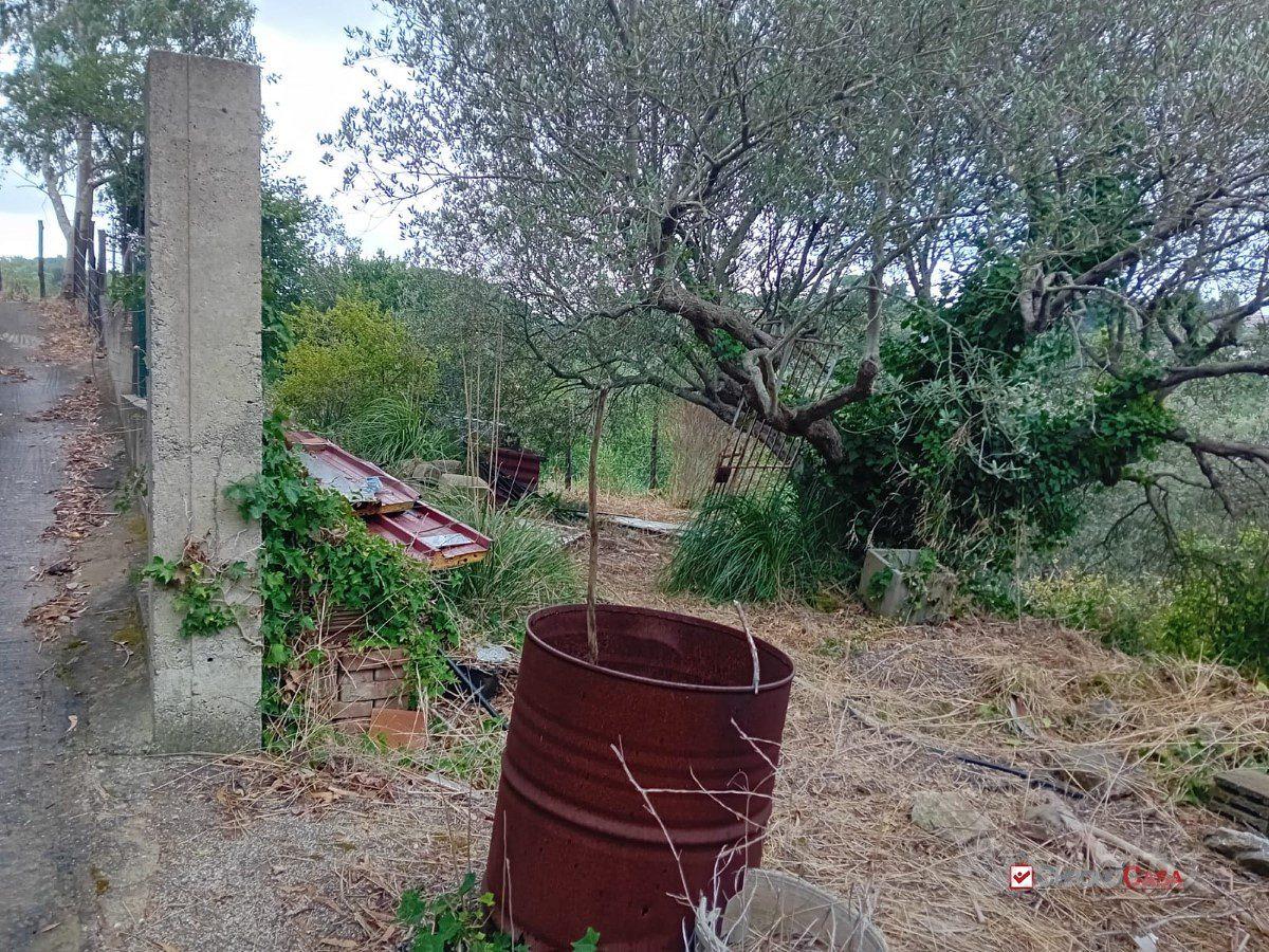Terreno zona Castanea con deposito - Vista 3